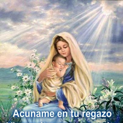 164442_494541177251337_1228070794_n