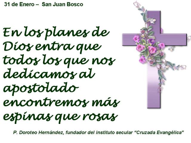 presentacion 21 enero