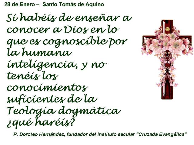 presentacion 28 enero