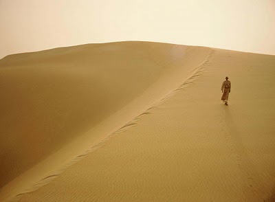 6782451786_fb9cb7ea8a_zd