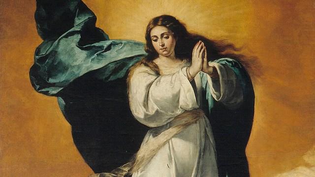 inmaculada-concepcion-web